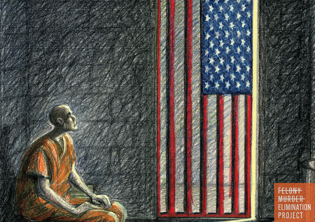Illustration of a person in a prison cell staring at an American flag on the wall. (Illustration by Victor Juhasz for Rolling Stone)